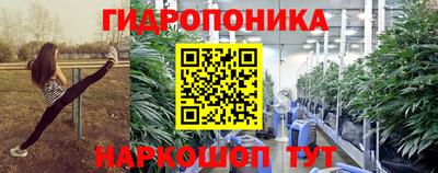 крисы Ангарск