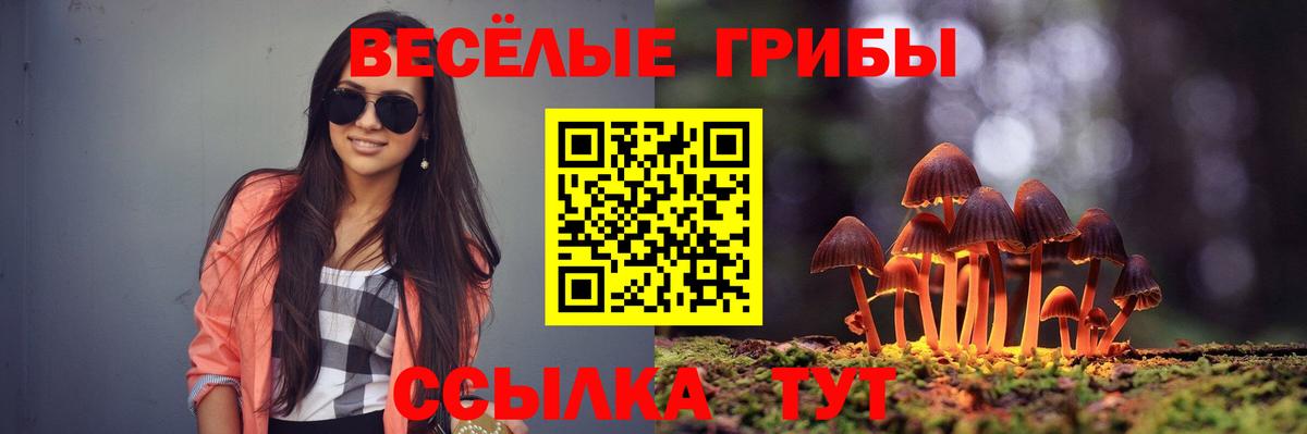 как найти закладки  Вход с VPN  Галлюциногенные грибы Psilocybine cubensis  Елизово  Галлюциногенные грибы MAGIC MUSHROOMS 